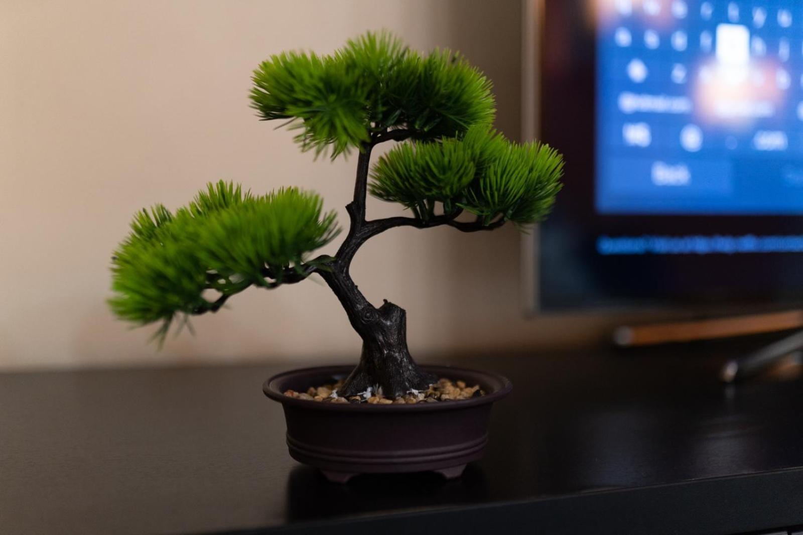 4 Rooms Unirii 47 布加勒斯特 外观 照片